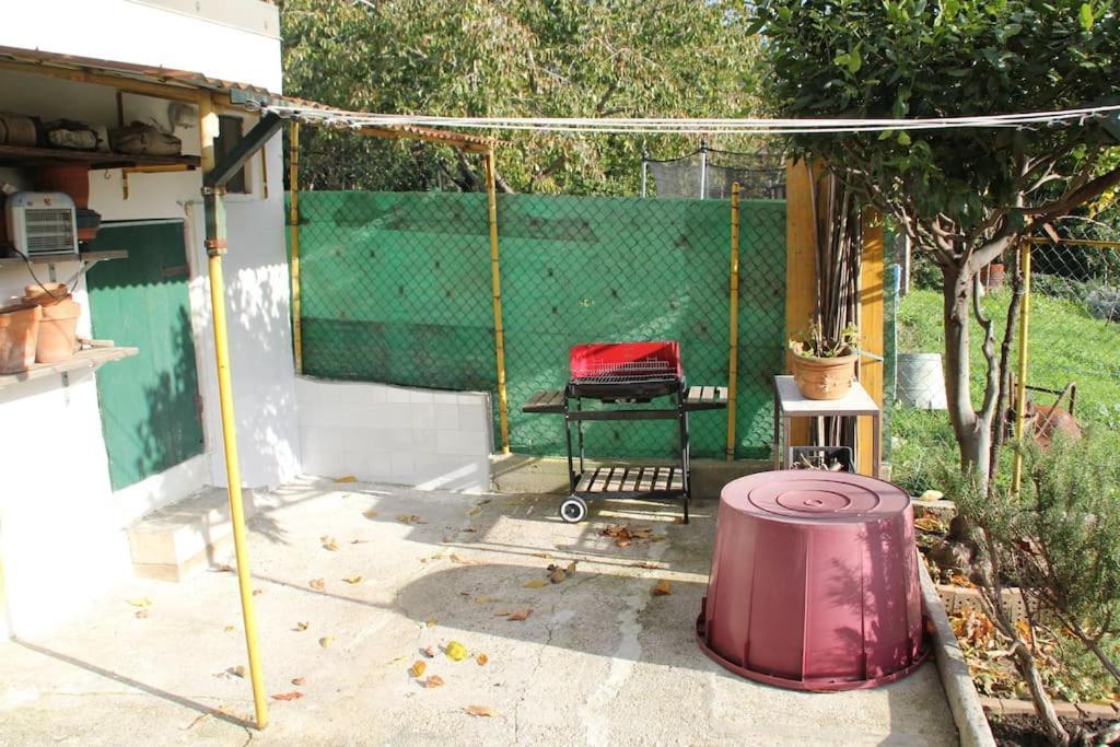 Il Gelsomino Villa ตรีเอสเต ภายนอก รูปภาพ