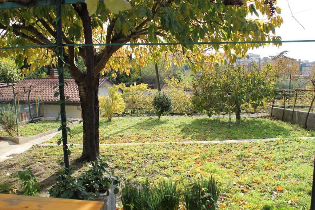 Il Gelsomino Villa ตรีเอสเต ภายนอก รูปภาพ